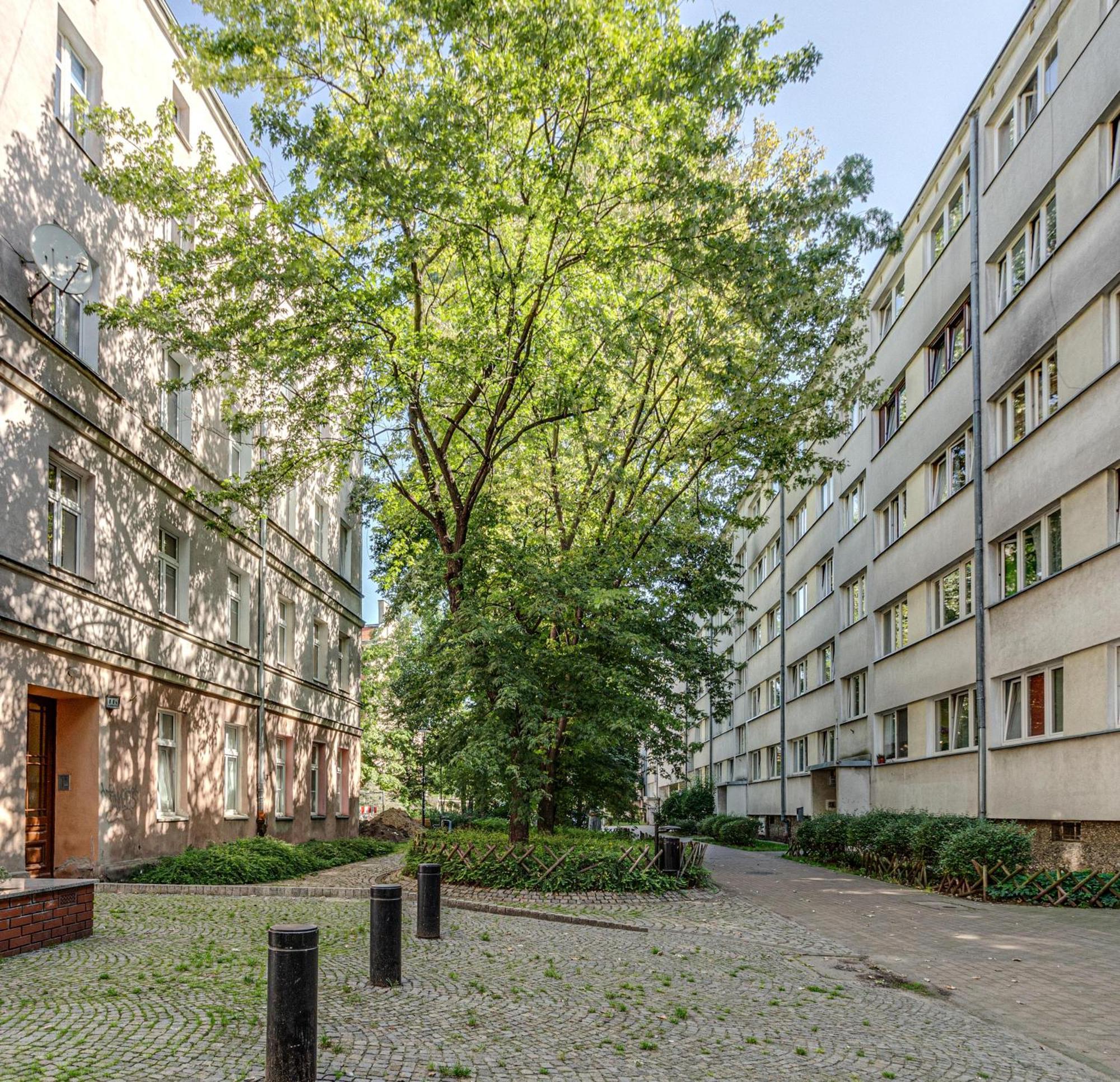 Rentplanet - Studio Nadodrze Wrocław Buitenkant foto
